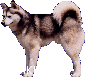 AKK FAQ