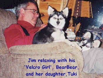 Jim with BearBear and her daughter Tuki on his lap relaxing after a hard day of AKK play